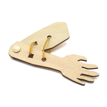 DIY Wooden Skeleton Model: A Hands-On STEM Learning Toy for Kids