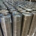 electro-galvanized welded wire mesh