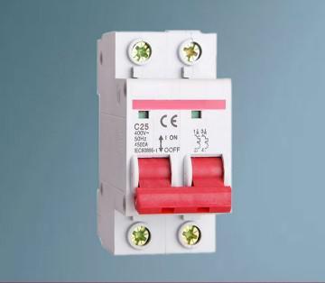 CE Illuminate Protection Single Phase 100A MCB