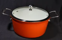 Cast Iron Dutch Oven with Enamel Coating