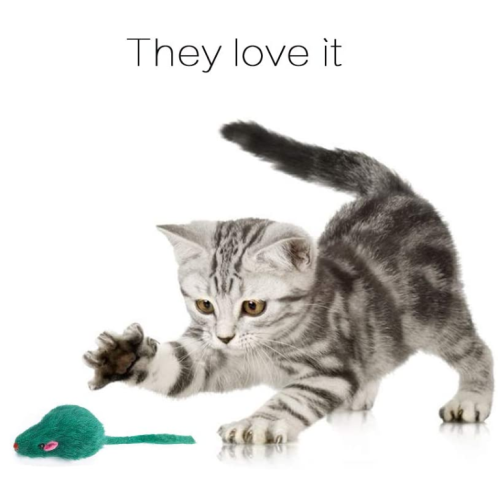 Mainan tikus bulu untuk kucing
