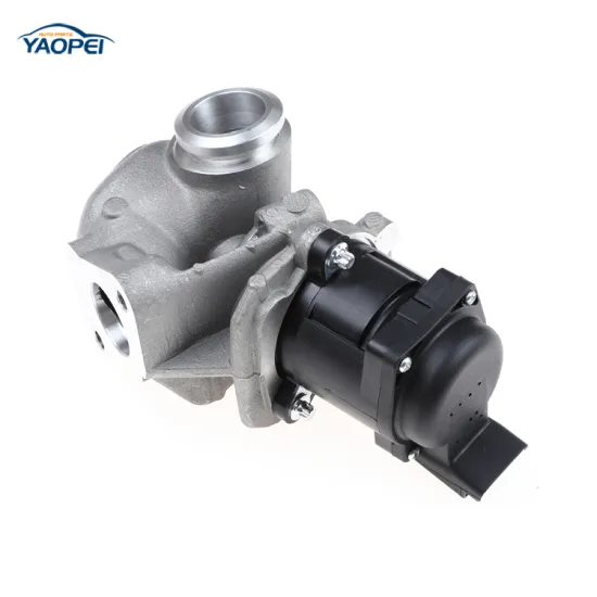EGR Valve 9660276280 For Peugeot 206 207 307 308 407 1007 3008 5008 EXPERT Tepee 1.6 HDI