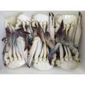 Frozen Mezzo tagliato Blue Swimming Crab Portunus Trituberculatus