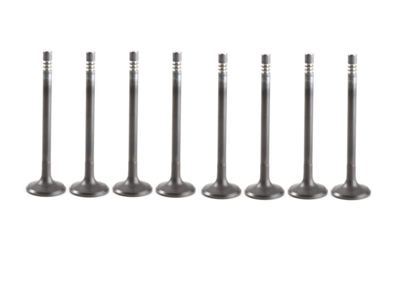 Intake Valve MD198404 for Engine