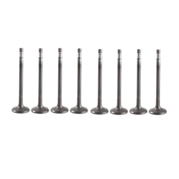 Intake Valve MD198404 for Engine