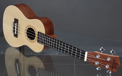 23 inch spruce noodles ukulele