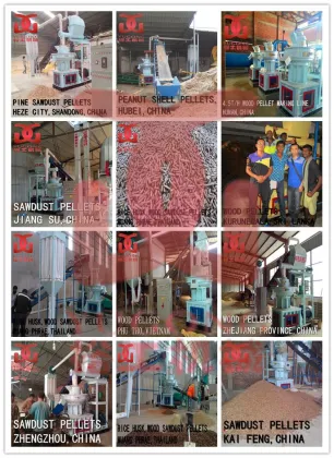 0.8-6 t/h ring dies wood pellet machine,wood pellet mill