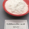 สารควบคุมการเจริญเติบโตของพืช จิบเบอเรลลินส์ GA4+7 90%TC