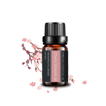 Aceite esencial de la flor de cerezo orgánico puro para masajes