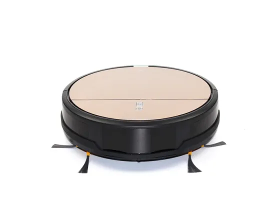 robotic vacuum with optional scheduled cleaning