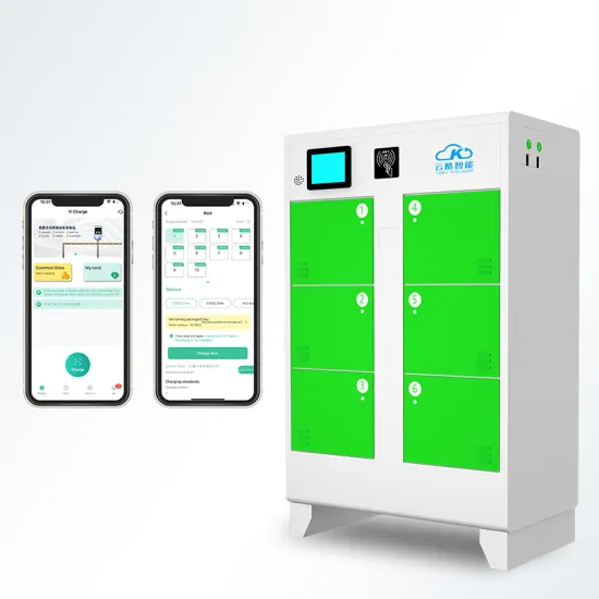6+4 Bike Scooter Battery Charging Cabinet