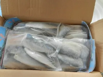 Pacific Mackerel Frozen Mackerel Fish Fillet Seafood