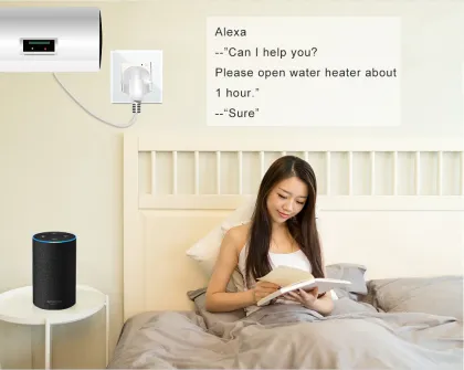 Bingoelec New WiFi Smart Socket: Remote Control for Amazon Echo, Google Home, and IFTTT Devices