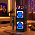 Çift 10 İnç Karaoke Parti Hoparlörü