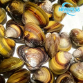 Vongole di fiume vive e carne fresca sostenibili