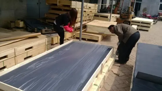 Stainless Insect Screen for Windows and Doors