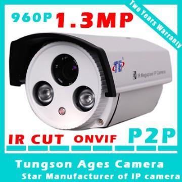 1.3 Megapixel IP Camera
