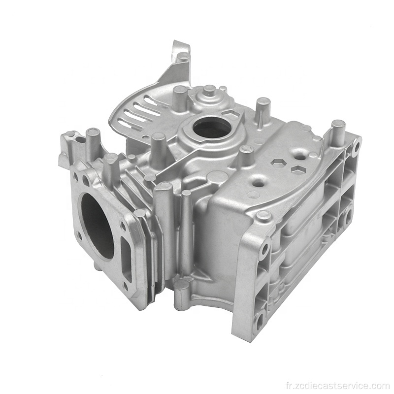 OEM Custom Précision Cast Aluminium Die Casting Produit