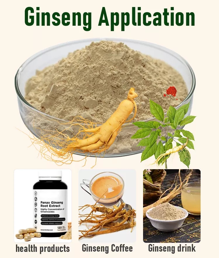 Ginseng Root Extract