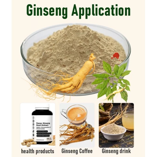 Pure Panax Ginseng Saponins Powder 60% Ginsenosides