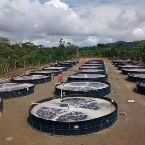 Revestimiento de plástico hdpe geomembrane shrimp farming estanques de revestimiento