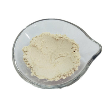 Top Dehydrated Horseradish Powder