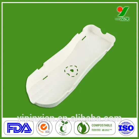 China Manufacturer Professional Design Team Eco-friendly 90days Biodegradable OEM Shoes Filler with Sugarcane Bagasse Pulp