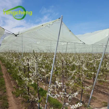 Grape Rain Covers Table Grape Rain Protection Covers