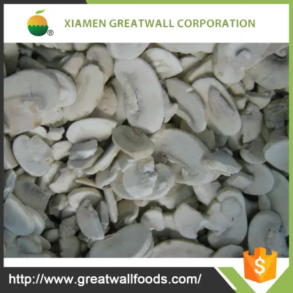 hot sale mushroom champignon