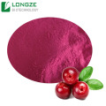 Cranberry Fruit Extract Powder 25% Proanthocyanidin