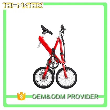 China supply professional coc road electric bike