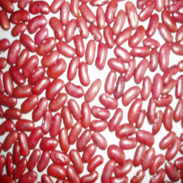 Dark Red Kidney Beans