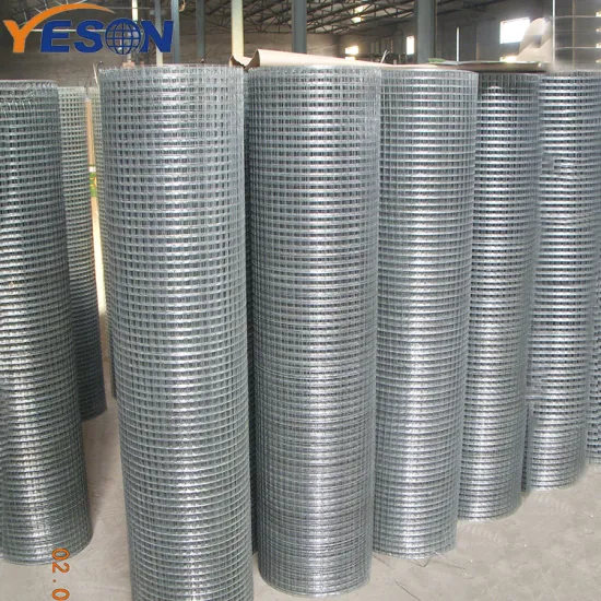 Low Cost Galvanized Welded Wire Mesh Roll 50mmx50mm