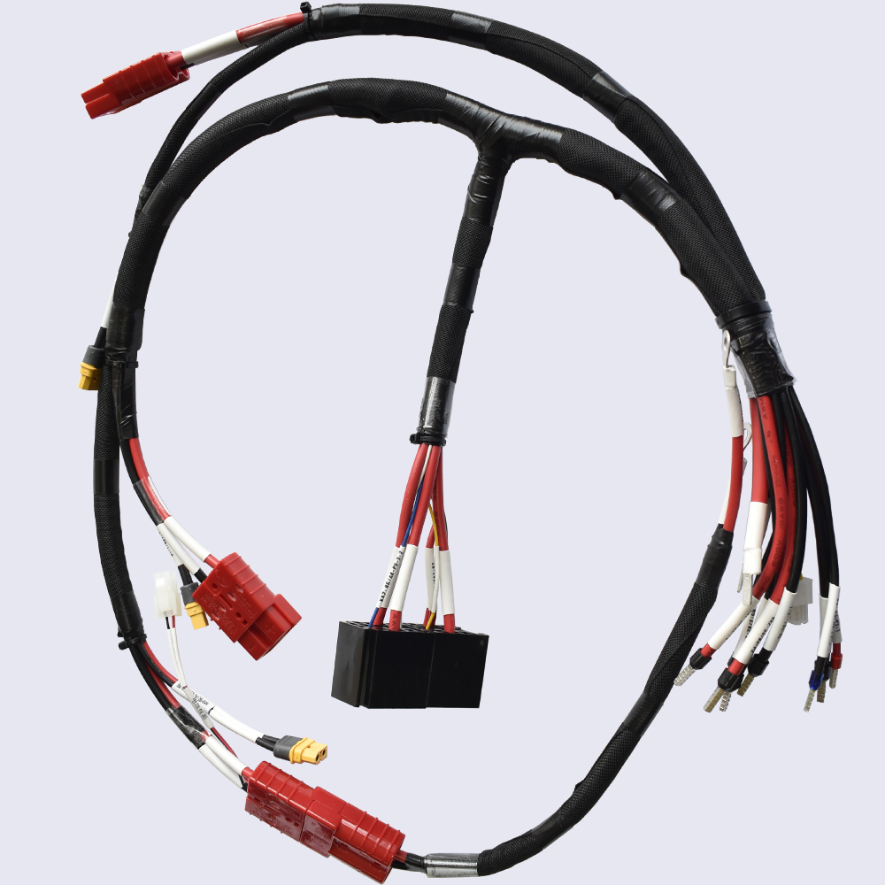 Conjunto de cable de suministro de alimentación