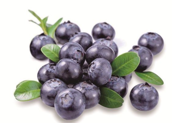 European Bilberry Fruit Powder