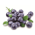 European Bilberry Extract Whortleberry Anthocyanidins