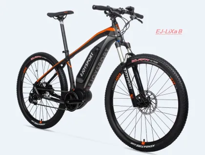Customized Electric Cannondale Road Bike