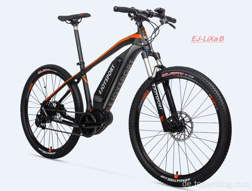 Individuelles elektrisches Off -Roadbike