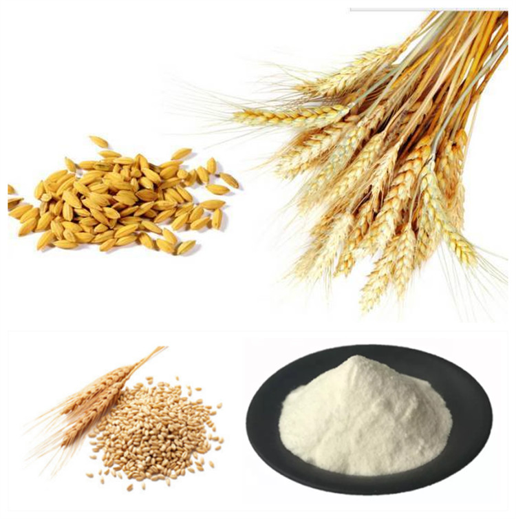 Wheat Oligopeptide Powder