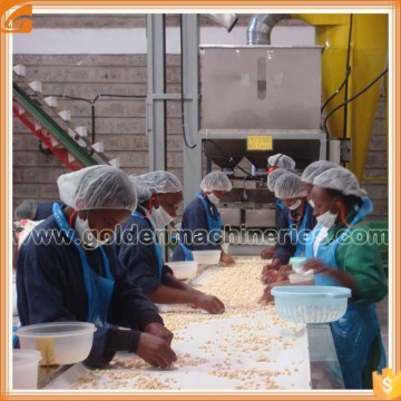Stainless Steel Whole Peanut Blancher Peanut Blanching Machine Dry Peanut Blancher