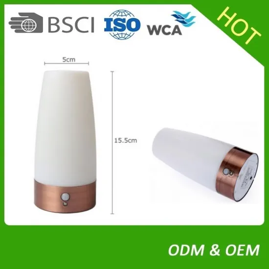 motion sensor light night light with battery for indoor room hotel and outdoor