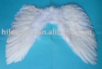 Feather Wing