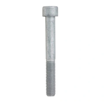 Stainless Steel Cup Head Bolts Cup Head Bolts Galvanised Bunnings Cup Head Bolts Manufacturers And Suppliers In China