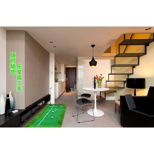 Professional Golf Putting Green Mat