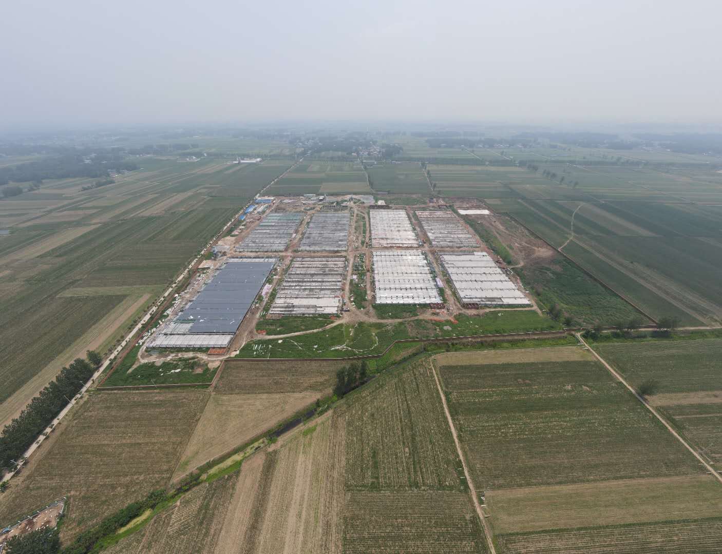 Proyecto modernizado de cría de cerdos en el condado de Linquan, Fuyang