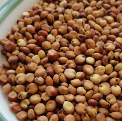 make wine sorghum grain sorghum for sale 2013 new crop