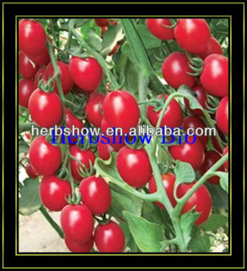 2016 Newly F1 Hybrid Cherry Tomato seeds /Disease Resistance