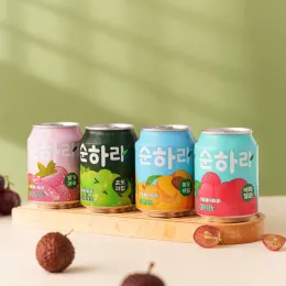 Fruit Juice Beverage