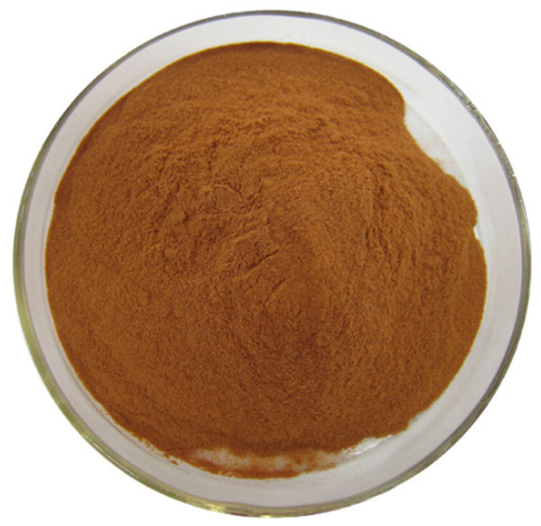 Kadsurae Caulis Extract Powder