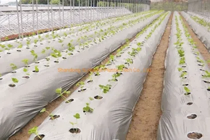 Top 10 Manufactor with Agriculture Mulch Film